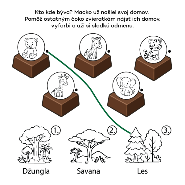 Kto kde býva? Macko už našiel svoj domov.