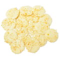 ChocoChips - Bílá čokoláda s pomerančem (800g)