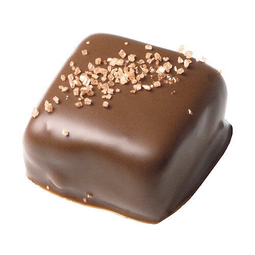 Bonbony Luxury Ganache Chestnut